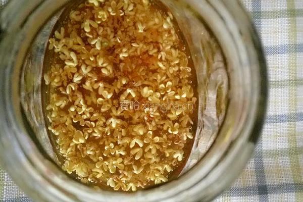 桂花蜜（花茶）的做法图解5