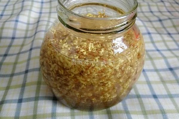 桂花蜜（花茶）的做法图解6