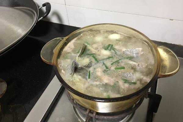 金鼓鱼白合汤的做法图解6