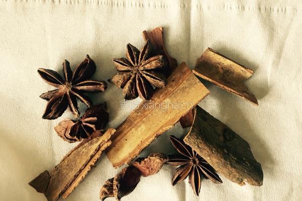 番茄土豆炖牛肉的做法图解1