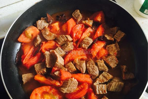 番茄土豆炖牛肉的做法图解5