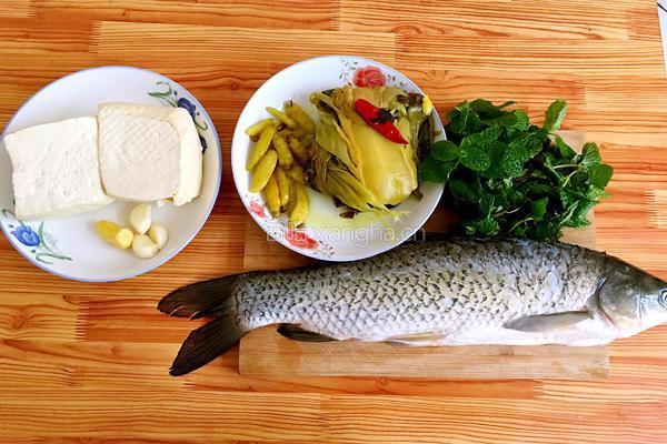 酸菜豆腐鱼的做法图解1