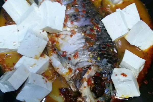木瓜煮鲫鱼的做法图解9