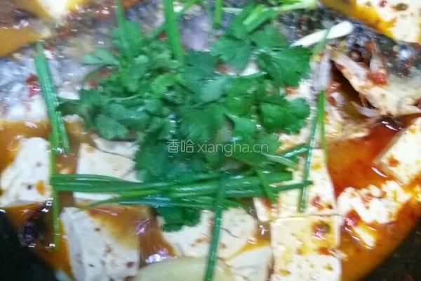 木瓜煮鲫鱼的做法图解12