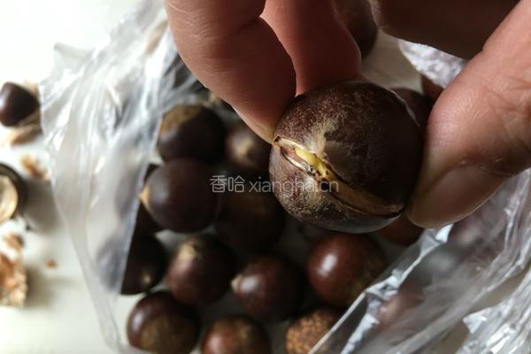 油栗清炖鸡的做法图解5