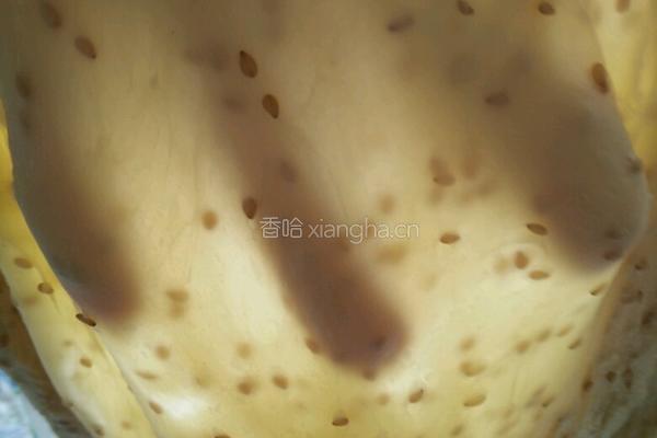 芝麻椰蓉面包的做法图解6
