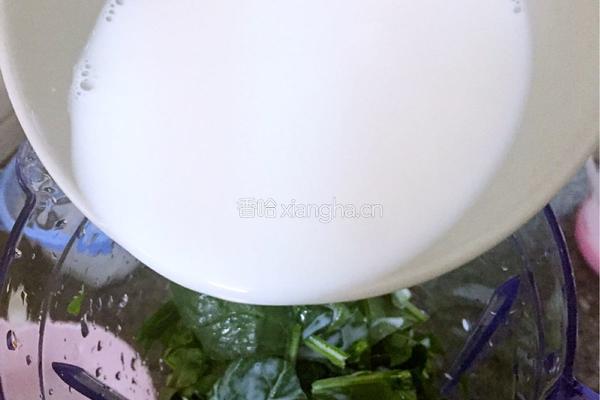 菠菜奶汁意面的做法图解5