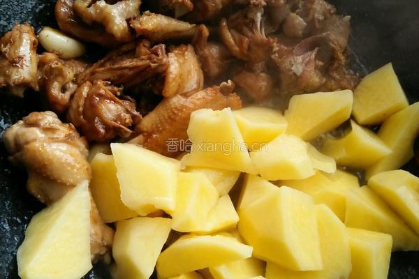 土豆烧鸡块的做法图解9