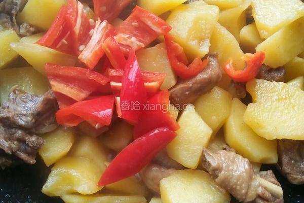 土豆烧鸡块的做法图解11