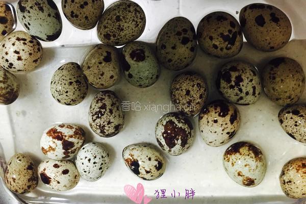 五香鹌鹑蛋的做法图解1