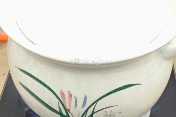 当归党参炖乌鸡的做法图解9