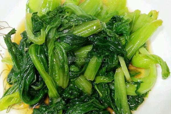 素炒油菜的做法图解5