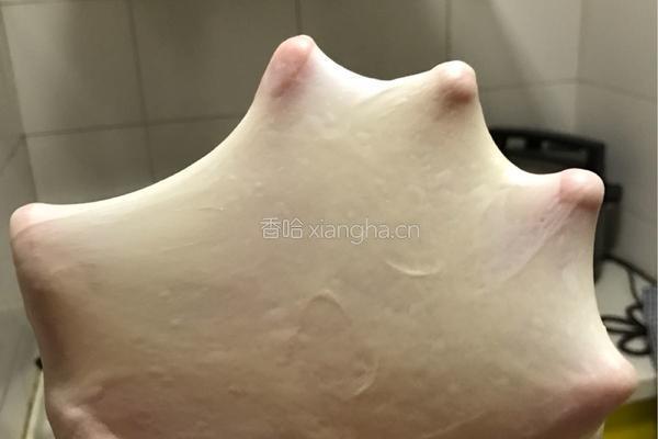 纯手工土司的做法图解14