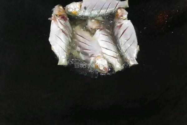 蚝油焖黄鱼的做法图解2