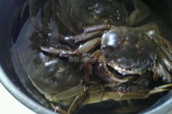 红烧大闸蟹的做法图解1