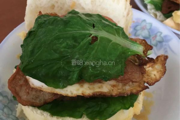 肉片汉堡的做法图解12