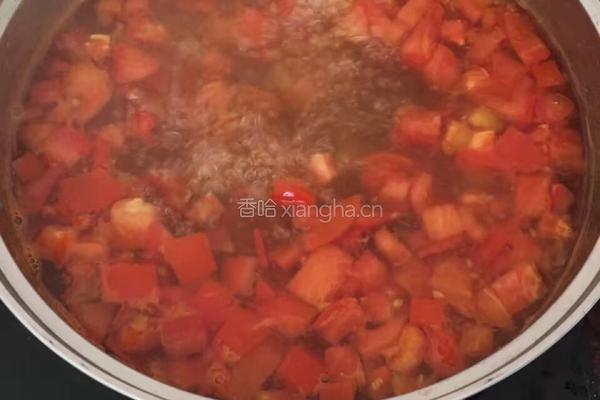 西红柿面的做法图解7