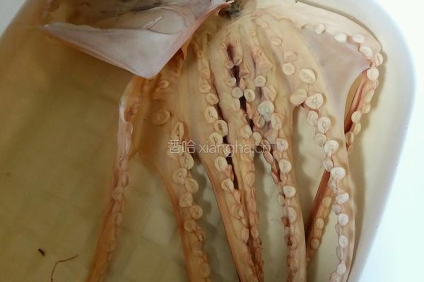 章魚豬骨蓮藕湯的做法图解1