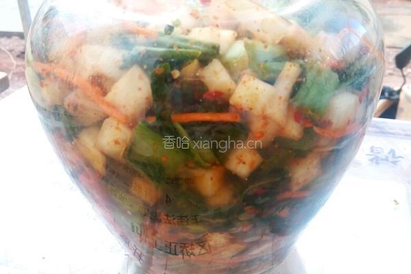 自制酸腌菜的做法图解11