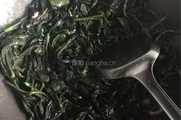 炒紫背天葵的做法图解4