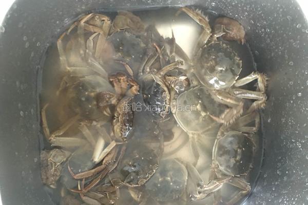 清蒸沱湖螃蟹的做法图解1