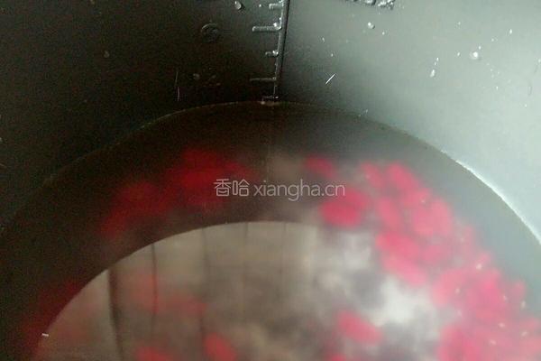 红豆黑米大米粥的做法图解4