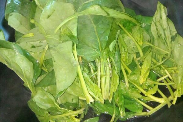 鸡蛋炒菠菜的做法图解2