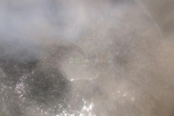 油泼白菜的做法图解3