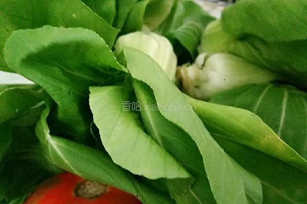 白焯青菜的做法图解2