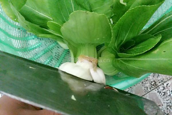 白焯青菜的做法图解3