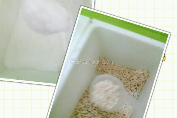白焯青菜的做法图解7