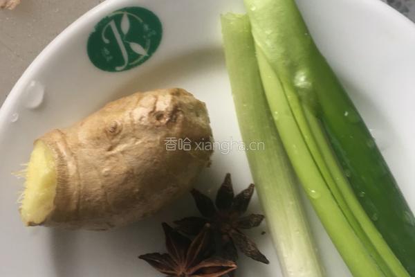 排骨烧海带的做法图解4