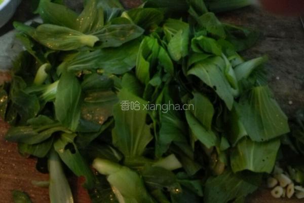 香菇炒油菜（快熟版）的做法图解2