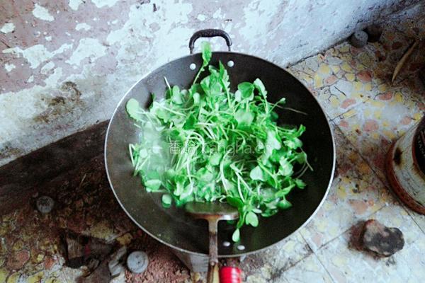 水煮青菜的做法图解5