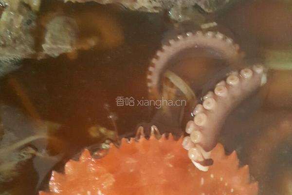 脊骨土豆海鲜锅的做法图解10