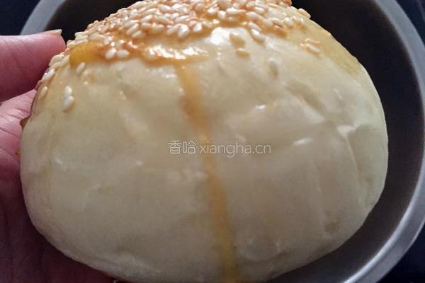 汉堡胚（小餐包）的做法图解16