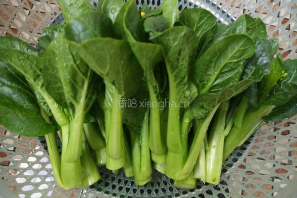 香菇油菜的做法图解3