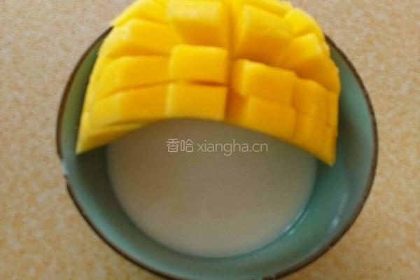 姜汁撞奶的做法图解7