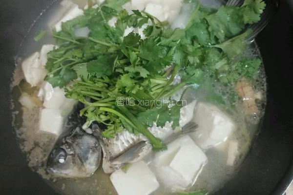 鲫鱼豆腐汤的做法图解6