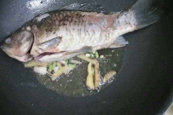 鲫鱼豆腐汤的做法图解4