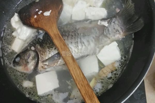 鲫鱼豆腐汤的做法图解5