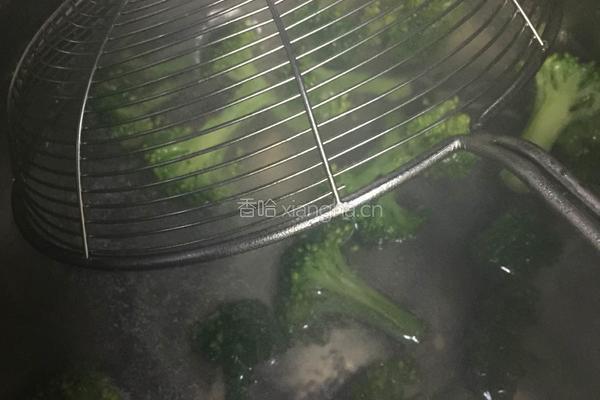蚝油鸡翅西兰花的做法图解13