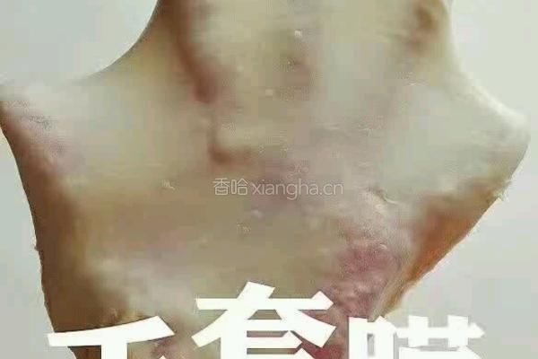 炼乳蔓越莓面包的做法图解3