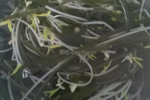 海带拌豆芽的做法图解7
