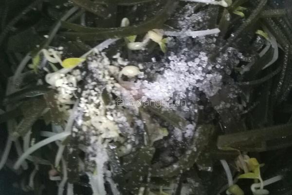 海带拌豆芽的做法图解8