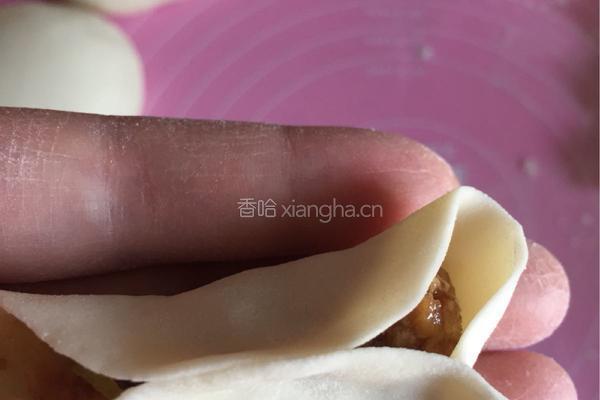 白萝卜猪肉饺子的做法图解17