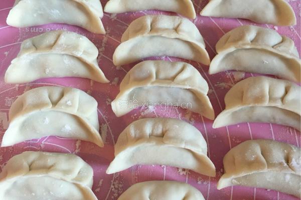 白萝卜猪肉饺子的做法图解20
