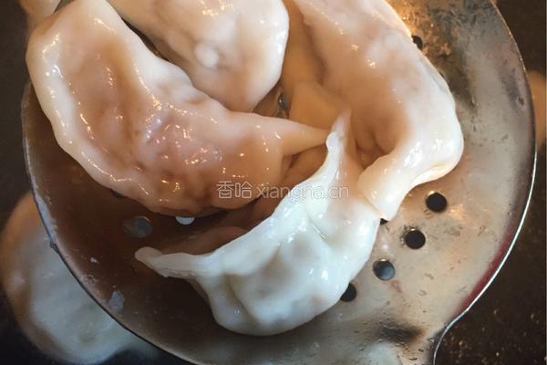 白萝卜猪肉饺子的做法图解21