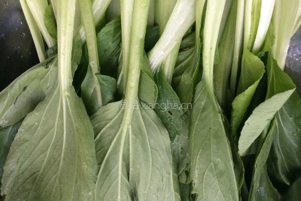 白玉青菜的做法图解1
