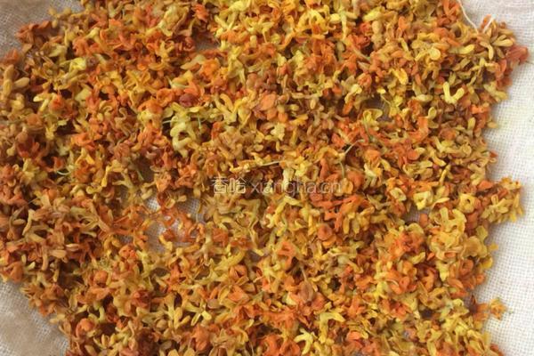 自制桂花干桂花茶的做法图解3
